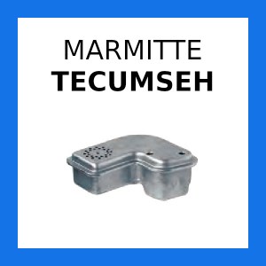 marmitte-TECUMSEH.jpg