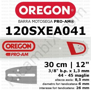 Oregon Pro Am 120SXEA041 motorsågsstång - 30 cm - 12 tum