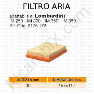 Filtro aria LOMBARDINI® | riferimento originale 2175172