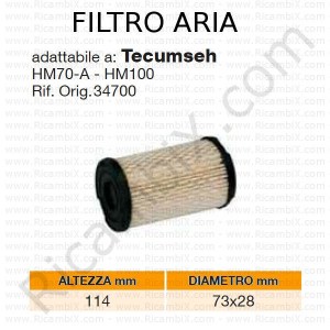 Filtro aria TECUMSEH® | riferimento originale 34700